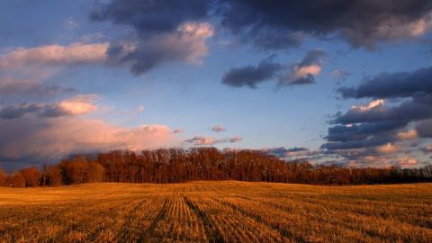 Farm field.