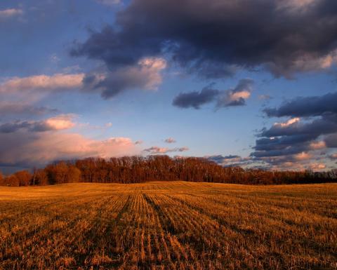 Farm field.